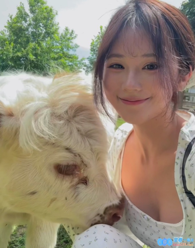 牛牛你要干什么！主播蛋宝晒照：(>﹏<)哞，掀起网友热潮，竟然引发这么多讨论！