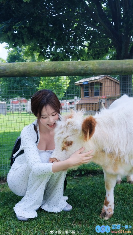 牛牛你要干什么！主播蛋宝晒照：(>﹏<)哞，掀起网友热潮，竟然引发这么多讨论！
