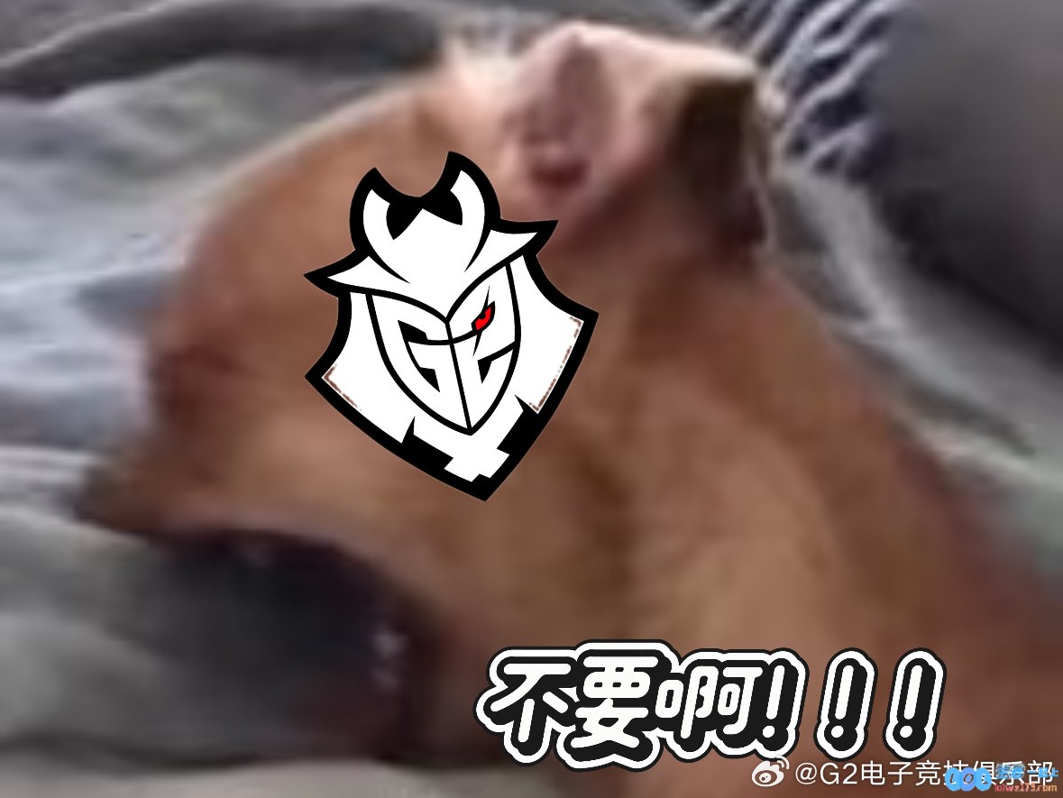 G2官推自嘲MSI出局：