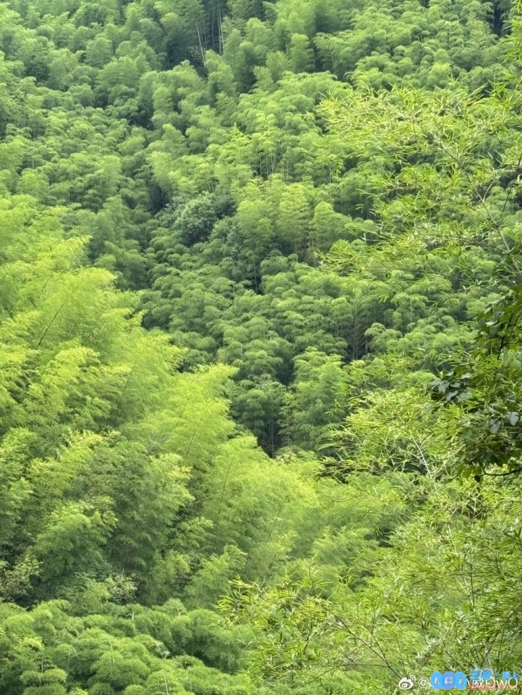 自由人身份很自由！Wei在社媒晒出与老队友GALA爬山照片⛰️