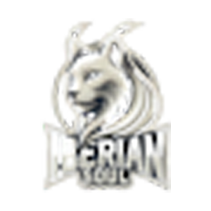 IberianSoul因游戏更新掉线而输掉比赛