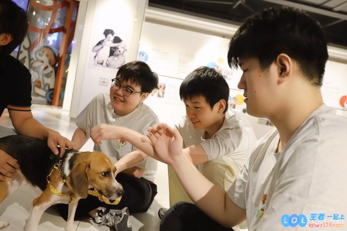TES晒基地宠物：让让都让让！比格大王驾到，萌宠新成员来袭，奇趣无限！