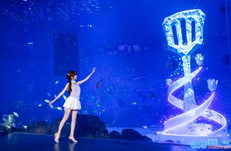 主持泱泱分享照片：在海洋上班，金铲铲女子赛太幸福了
